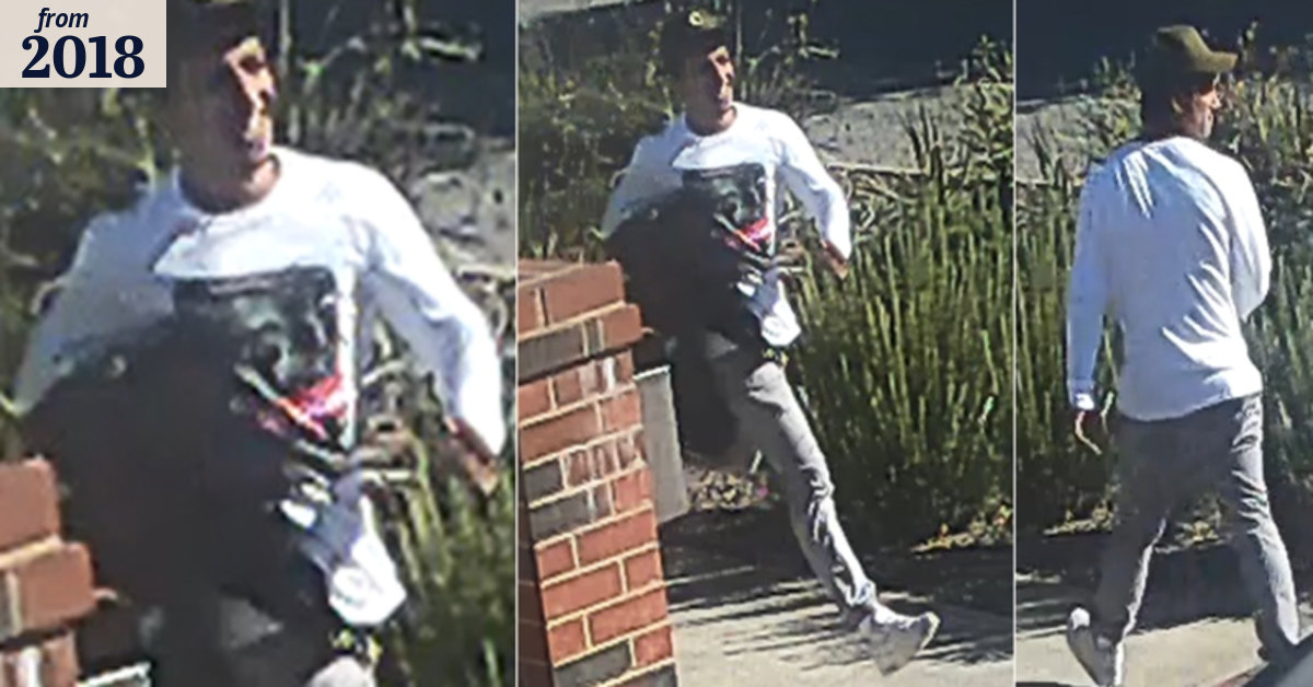 Police seek three men after woman's frightening home invasion