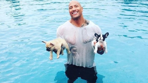 All-action, all the time: Dwayne 'The Rock' Johnson.
