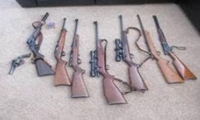 Unregistered firearms found at a Theodore house.