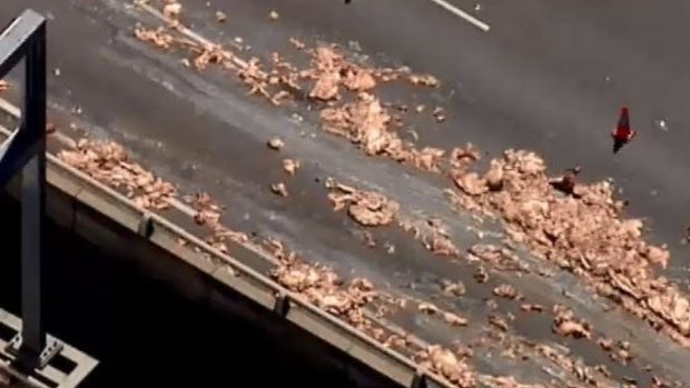 The offal spill on the West Gate Freeway.