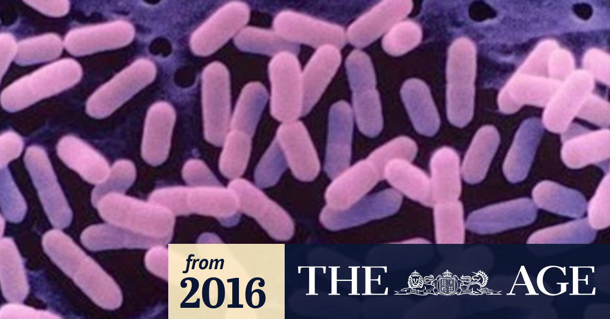 All You Need To Know About Listeria Its Symptoms And Foods To Avoid