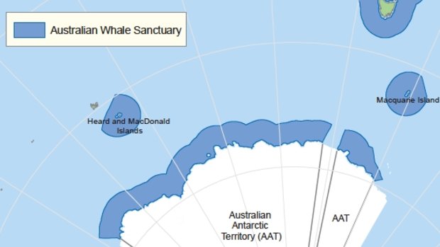Sanctuary: where Australia claims whales are fully protected.