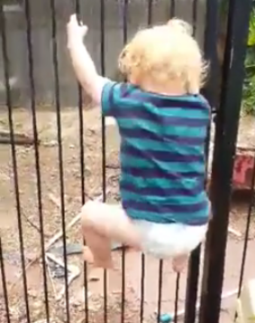 Brodie Atkinson climbs the fence.