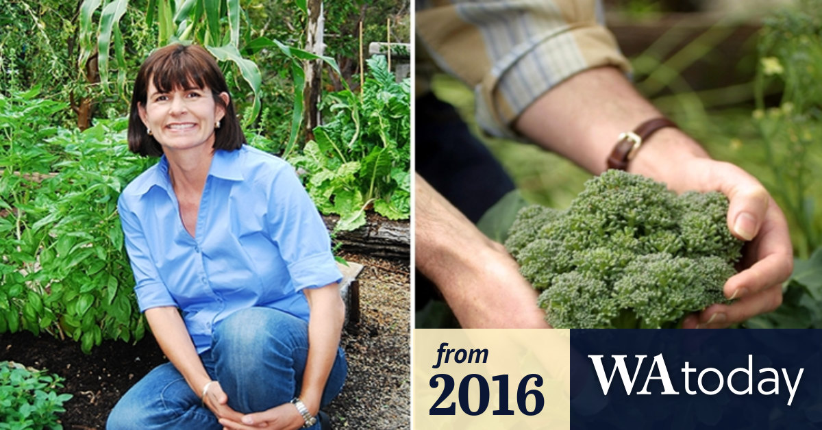 Sue Mcdougall S Top Tips For Autumn Gardening In Perth