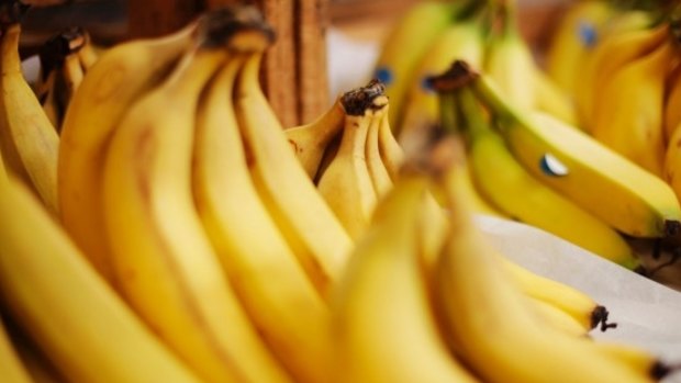 The TR4 strain is difficult to detect and a potentially serious threat to the Australian Cavendish banana industry.