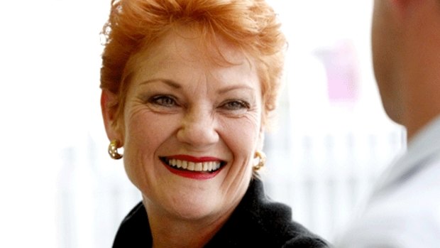 She's back: Pauline Hanson is set to fly on a personally emblazoned plane ahead of a Reclaim Australia rally.