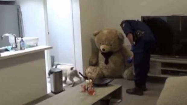 Police inspect the teddy bear.