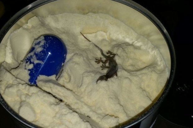 s26 baby formula south africa