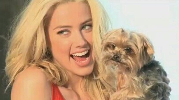 Amber Heard has been issued with a summons to appear in court over the illegal importation of her dogs. 