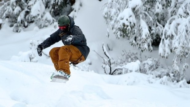 Snowboarder rides the powder snow at Falls Creek.