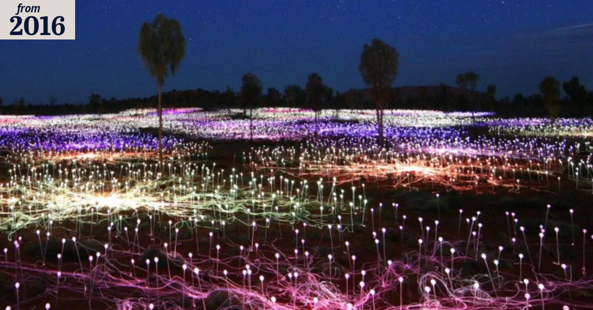 Field of light comes home