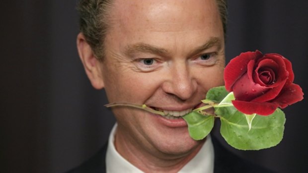 Digitally adjusted Education Minister Christopher Pyne makes his rosy pitch.
