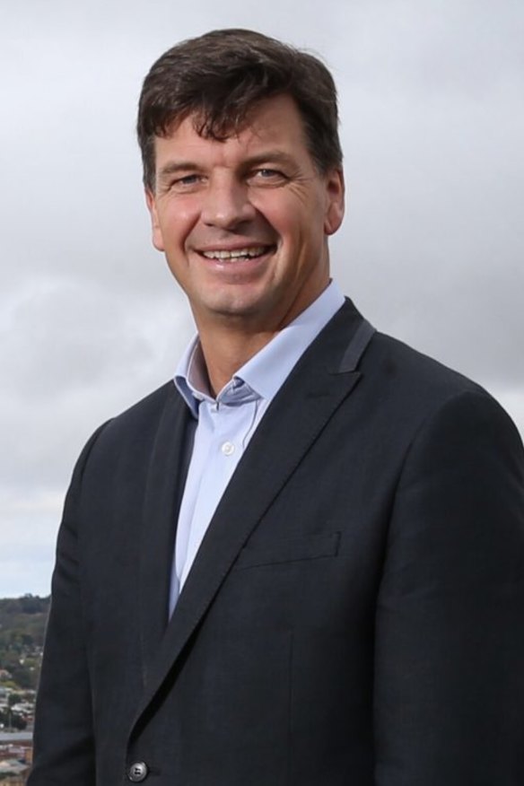 Angus Taylor (pictured) and Zed Seselja on Monday warned against any same-sex marriage change.