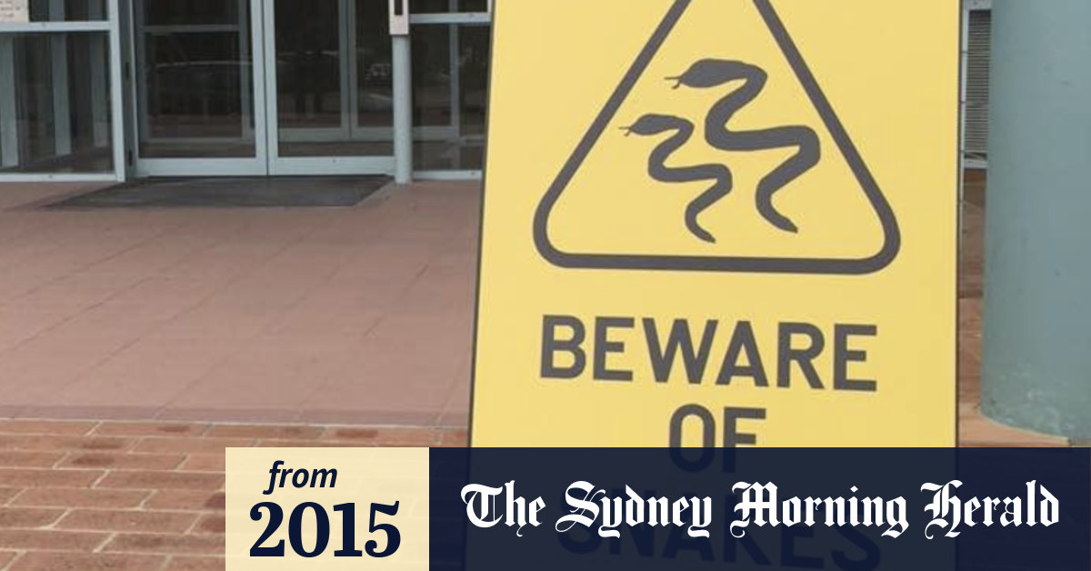 Public servants versus snakes: Spring brings out slithering reptiles