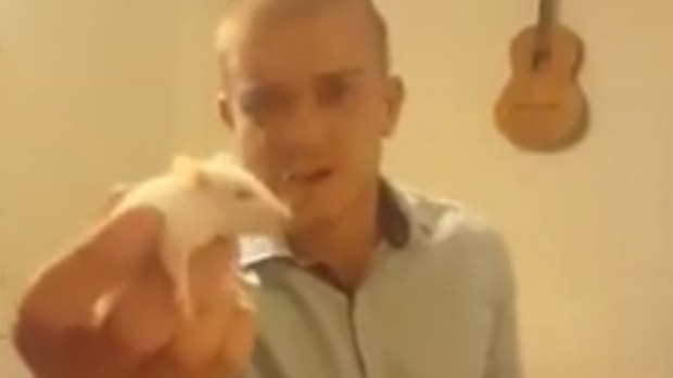 Matt Maloney bit the head off a live rat in a Facebook video.