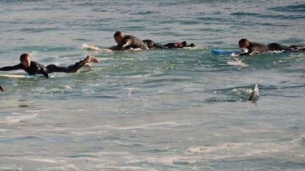 Surfers were forced to flee the water at Mettams Pool earlier this year. 