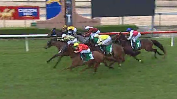 Legacy: Midas, in the green and gold silks, wins by a nose at Wyong to honour Bart Cummings.