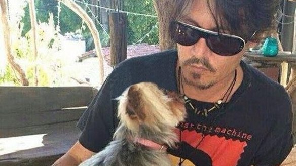 Johnny Depp with one of his Yorkshire Terriers.