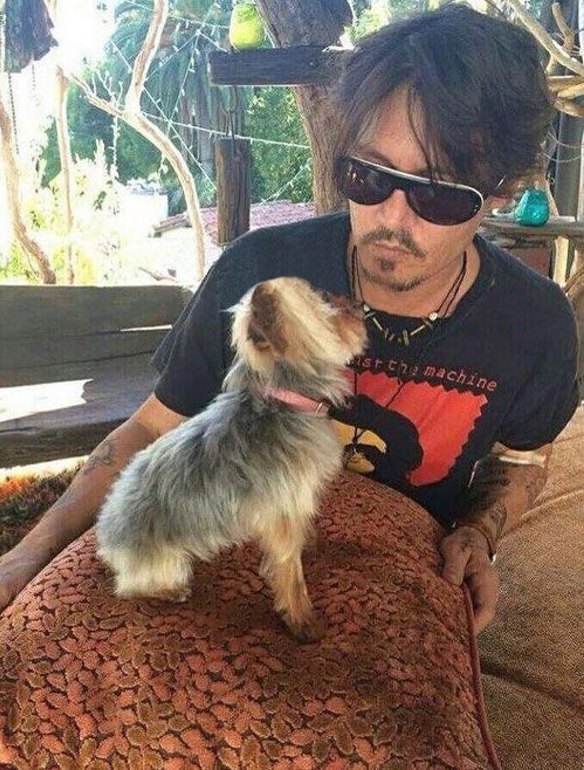 Johnny Depp with one of his dogs.