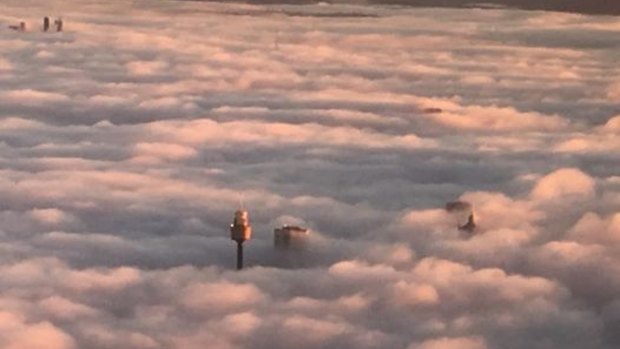 Cloud city: Sydney tower breaks the shroud of fog over Sydney.