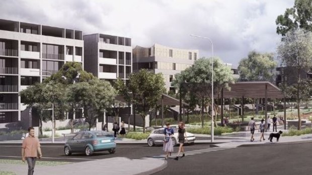 The proposed Showground Station redevelopment precinct.