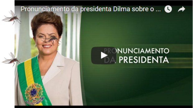 Mosquitoes obscure president Dilma Rousseff's face on the Brazilian government's website.