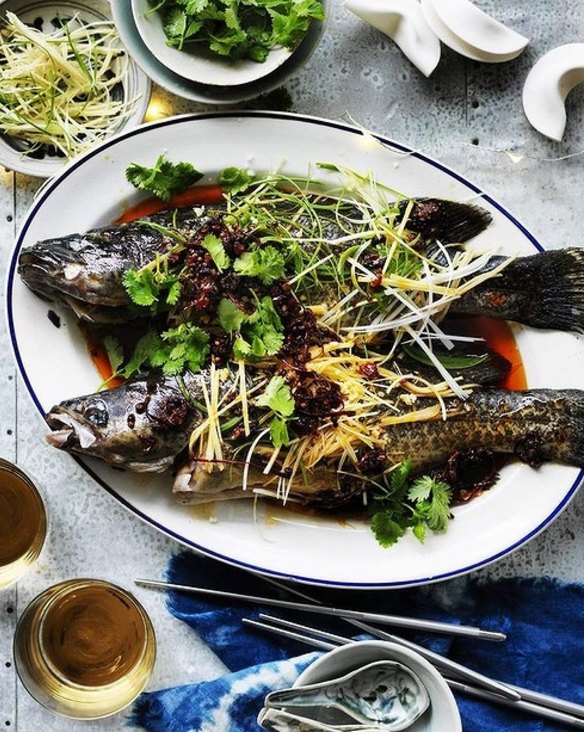 Steamed Murray Cod with red chilli oil - the oil represents fire in the 2016 Chinese zodiac <a href="http://www.goodfood.com.au/good-food/cook/recipe/steamed-murray-cod-with-red-chilli-oil-20160202-49w21.html"><b>(recipe here)</b></a>.