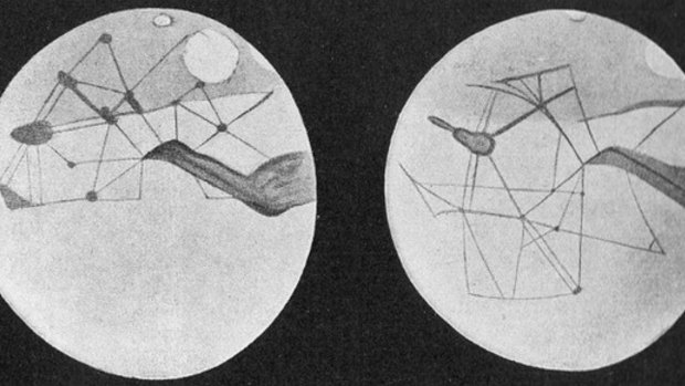 Martian "canals" as depicted by astronomer Percival Lowell. 