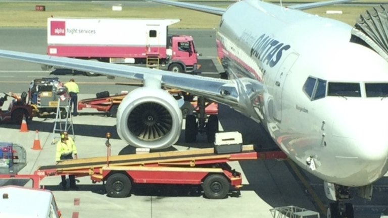 qantas freight animals