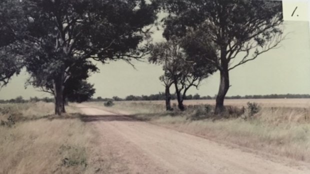 The scene where Michelle Buckingham's body was found in 1983. The image was tendered to the trial of Stephen Bradley, who is charged with her murder.