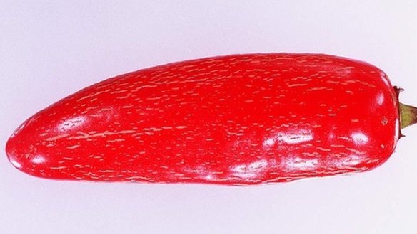 Serrano chillies look like a bird's eye chilli but have a rounded end like a jalapeno. With the sweet, crunchy flesh of a capsicum and the heat of a jalapeno, they are typically eaten raw but can also be pickled or roasted. 