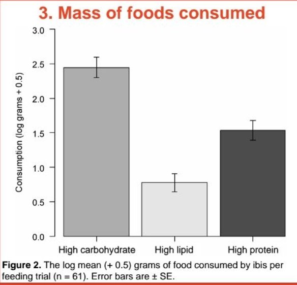 Proportion of food selection by ibis.