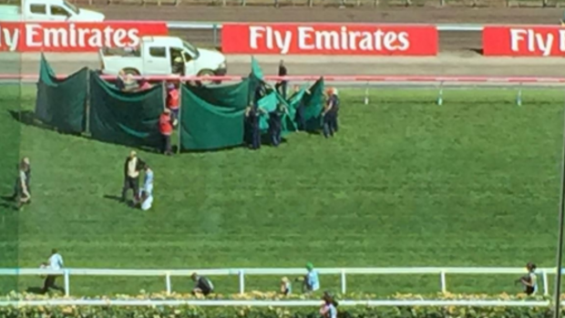 The ominous green screens were pulled around the injured Red Cadeaux.