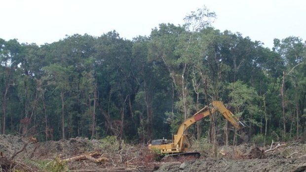 Conservation groups claim more than one million hectares of bush, forest and trees have been razed since the former state government changed laws governing the practice four years ago.