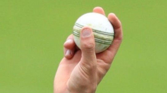 A cricket ball