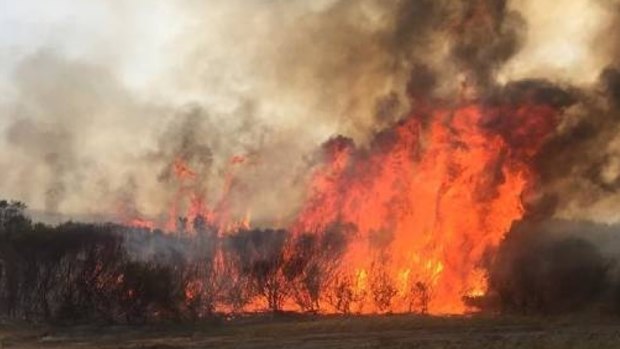At least four people are dead and 300 more have been evacuated after bushfires continue to burn out of control in North Cascade, Merivale and Cape Arid National Park in the Esperance Shire.