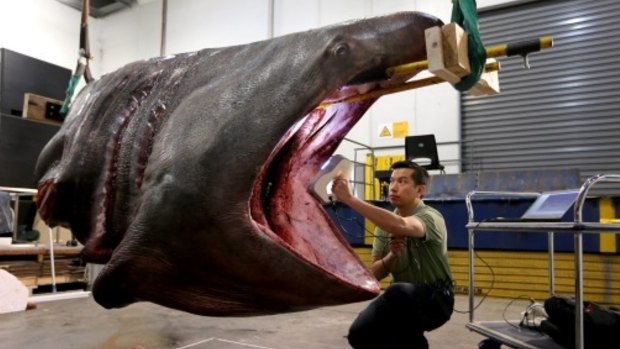 The shark’s head being laser scanned.
