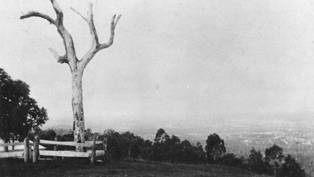 View looking down on Brisbane from Mount Coot-tha in the late 1890s.