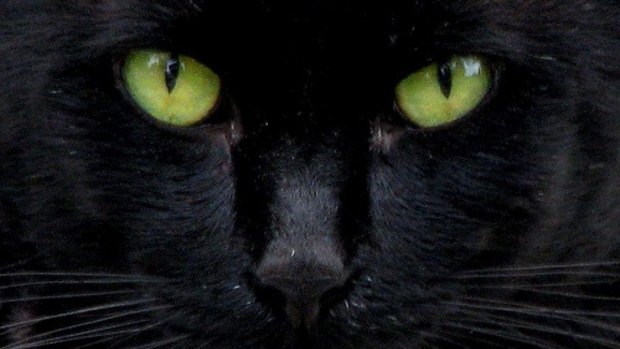 Friday the 13th is considered unlucky by many cultures, so you may want to avoid black cats and walking under ladders.