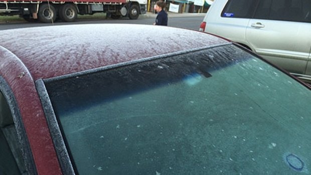 Frost at North Ipswich, near Bremer River.