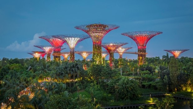 The Supertree Grove and walkway at Gardens By The Bay, Singapore.