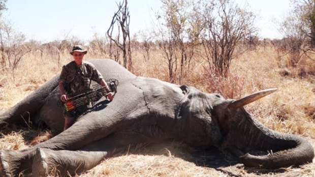 Dr Seski poses with another elephant he killed. 