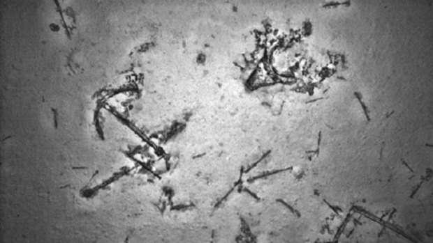 Shipwreck: an anchor found during the underwater search for MH370.