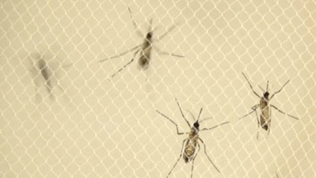 Mosquito spraying has begun at a second site in Queensland after a man showed symptoms of the Zika virus. 