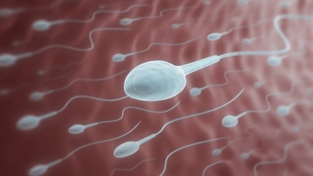 Would-be-mothers are frustrated by a lack of available sperm donors in WA.