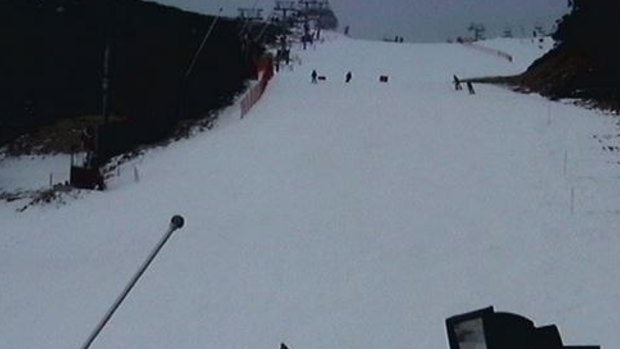 An image taken from the 'Towers' camera at Falls Creek.