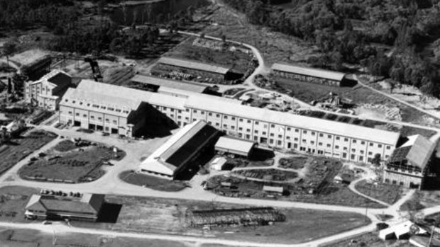 The Petrie paper mill, pictured during its final stages of construction in the 1950s.