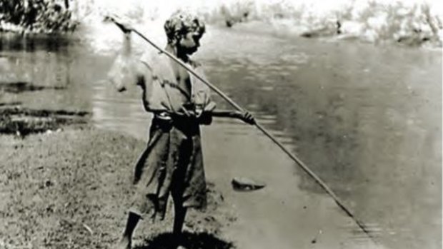 An unknown aboriginal boy spearfishing in the Southport Broadwater.