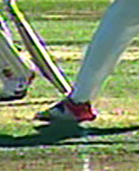 Part of Doug Bracewell's foot was clearly behind the line when he clean-bowled Adam Voges. 