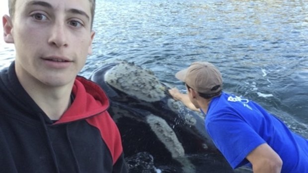 Michael Riggio (left) takes a selfie as Ivan Iskenderian reaches for the whale.
